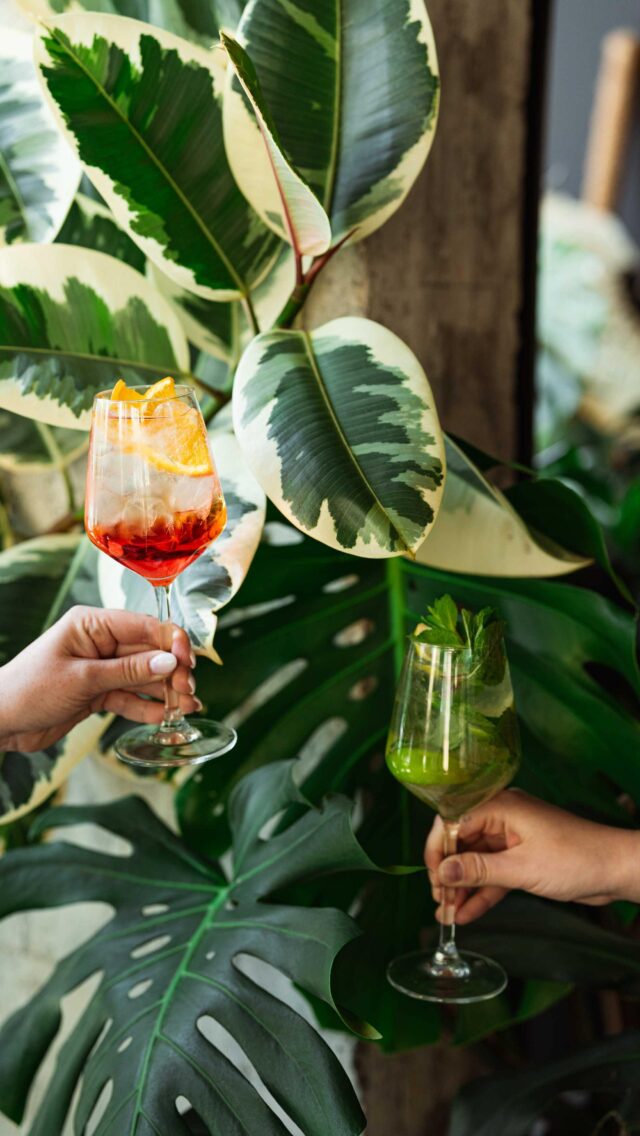 Thai spritz? Yes, please! 🍹Lato zbliża się dużymi krokami, a z nim – nowa karta spritzów z tajskim twistem!Egzotyczne składniki, orzeźwienie i mnóstwo bąbelków – już wkrótce w WOO THAI!Na razie możecie zamawiać klasyki: Aperol i Hugo, które jak zawsze świetnie smakują na start sezonu. Pssss... każdy spritz będzie dostępny również w wersji bezalkoholowej! 🧊#wroclawskierestauracje #spritztime #woothai #woothaiwrocław #wroclove